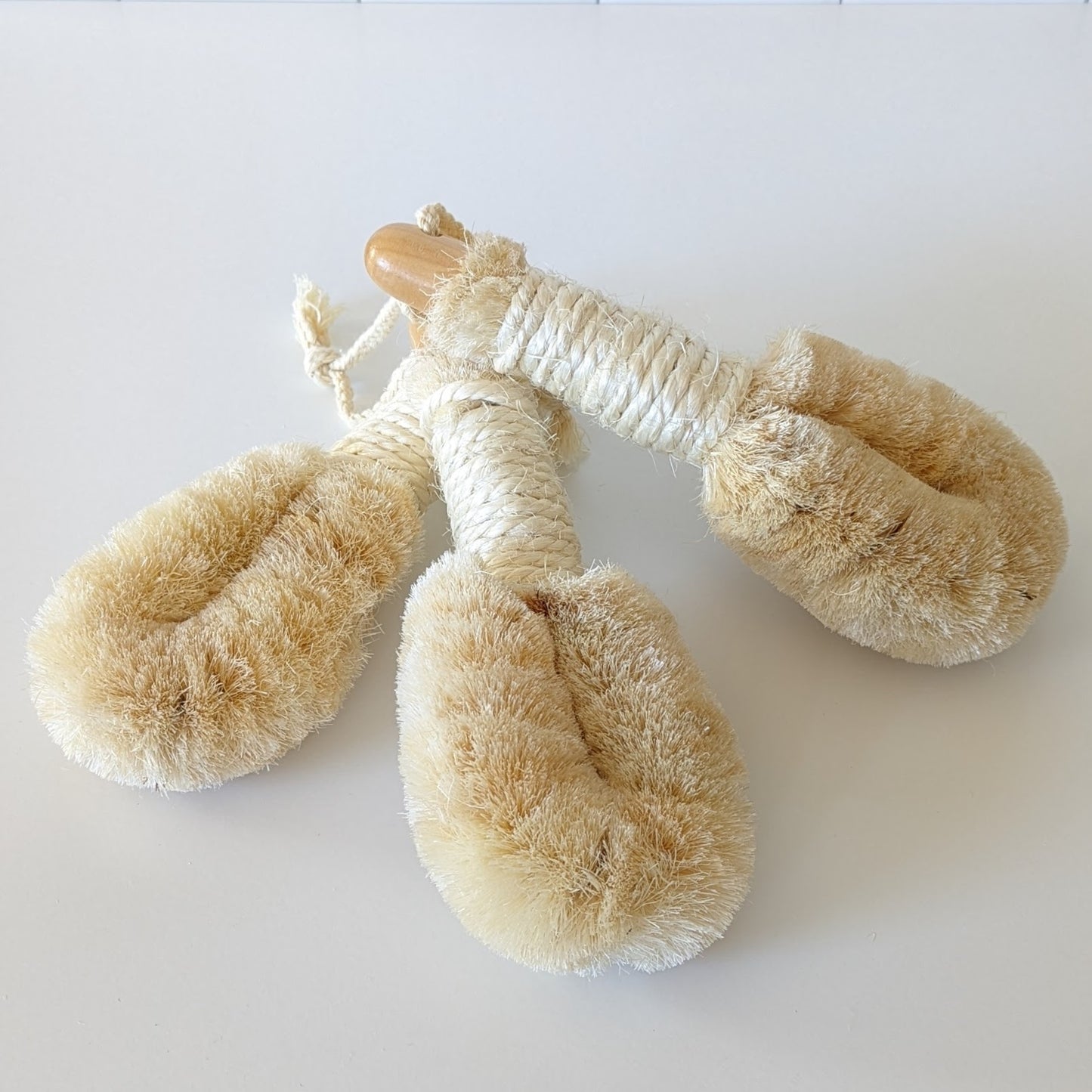 Sisal Dry Brush