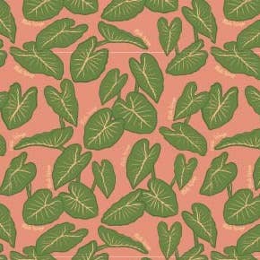 Meli Wraps Beeswax Wraps