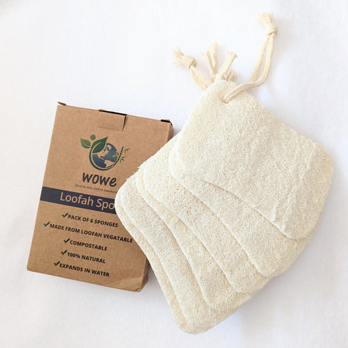 Eco Dish Sponge, single-ply